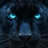 4_warrior
