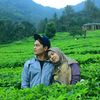 indahputri9788