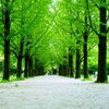 n0name855