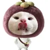 opatrung_iu
