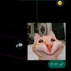 zuxxy130