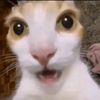fabix_u