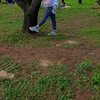 alsyafamaharani