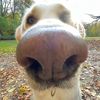 poopeepoop_