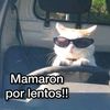 jack_patterson69