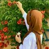 amena522005