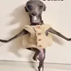 antonioesmed120