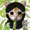 dark_matcha5