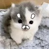 hmyy_2911