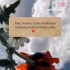 hakim_739