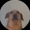 leos_cichobieg3