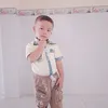 loan_pham7