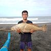 putrarael01