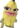 ciidumpie_