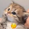 ranranby