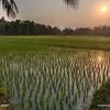 salmanurf10