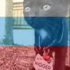 el_wiwi1
