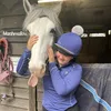 darcieequine