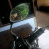radityagmail4