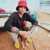 minh_36k5