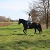 gouigouichhh