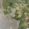 phuongphunnie