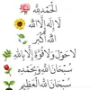 zaidduski382