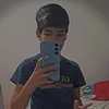 pabolinnikeuser