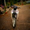servivek