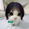 josienealmeida637