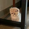 czy.ana4