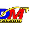 dmtvmalang8