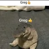 lukisteve123
