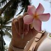 hanou_hanen