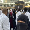 alicia_hapsa