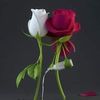 emanmahdyabdelrad