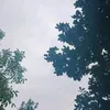 charroporelmundo
