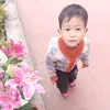 nhungha1235