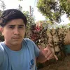 tinico.6