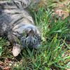 0bsessedwmycat