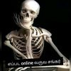 thalalaivan