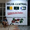 .selva.salvaje