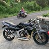 parelll4294
