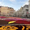 mohamedelaalam882