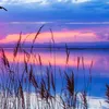 loo6061