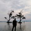 randyp40