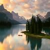 wizer_163