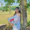 phaung653
