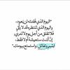 turki_n_