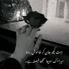 hinasajjad61